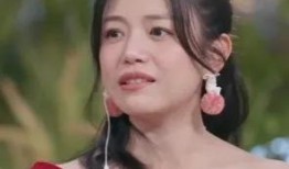 小天后爆料陈晓视频,真相背后引人深思